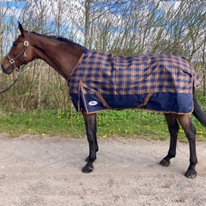 AB Regendeken Camel Watch